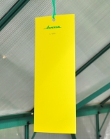 MacGreen/® Doppelstegplatten Stegplatten Hohlkammerplatten Set 6 Platten 61 x 140 cm 6 mm 1 Rolle Abdichtklebeband 50 m